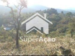 Imagem da propriedade 5038 4
